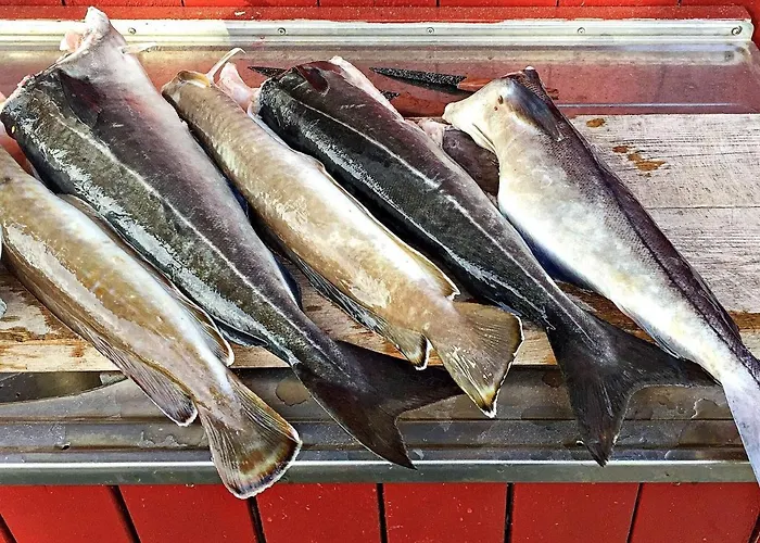 8 Person In Averoy Henda